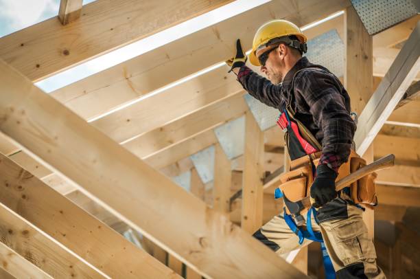 Best Roof Gutter Cleaning  in Woodbury Heights, NJ