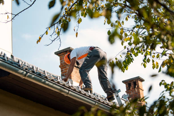 Best Roof Repair Services  in Woodbury Heights, NJ