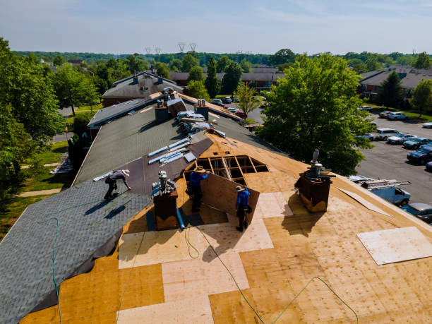 Best Metal Roofing Contractor  in Woodbury Heights, NJ