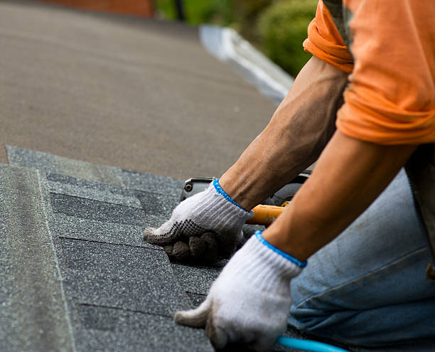 Best Roof Maintenance Services  in Woodbury Heights, NJ
