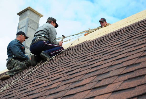 Best Roof Waterproofing Services  in Woodbury Heights, NJ